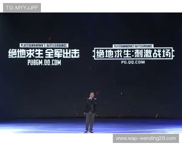 问鼎电游游戏成为行业领军品牌的秘籍分析与实践