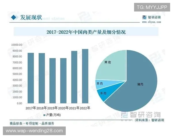 问鼎登陆引领新纪元开启行业新篇章的战略布局与未来趋势分析